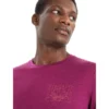 Icebreaker M TECH LITE II SS TEE MOUNTAIN SUNSET, Go Berry