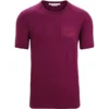 Icebreaker Tech Lite II Mountain Sunset SS Tee Men Go Berry