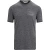 Icebreaker Tech Lite II Mountain Sunset SS Tee Men Gritstone Heather